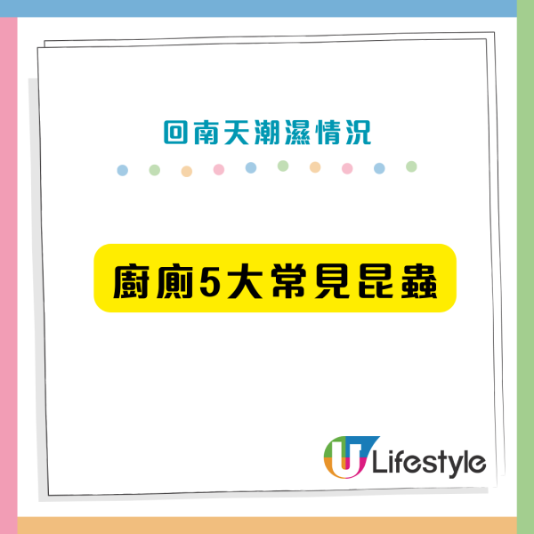 回南天牆身爆怪蟲？潮濕惹9大昆蟲瘋狂產卵 專家警告亂用「1款神物」傷呼吸道