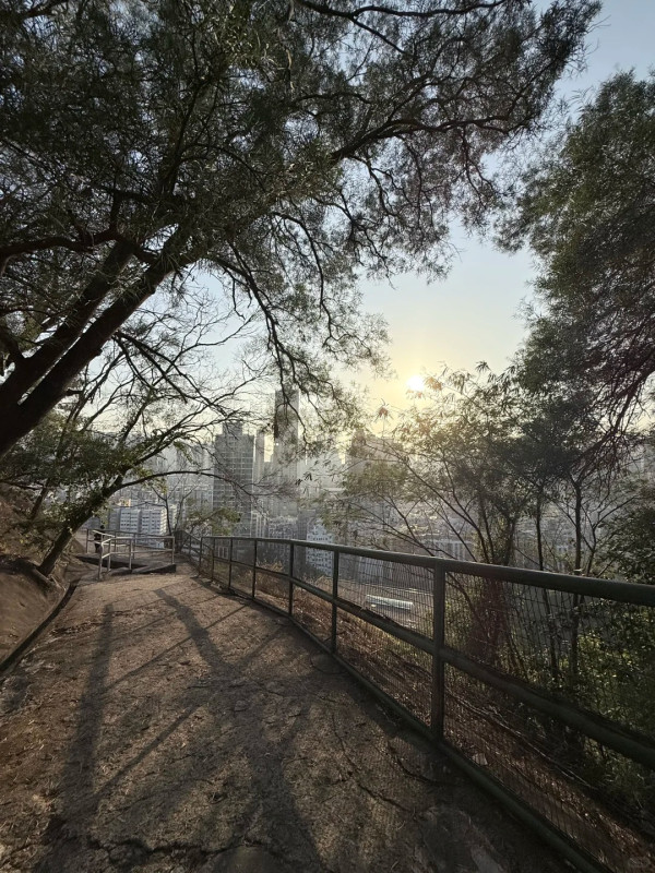 深水埗「天空之城」15分鐘極速登頂!零體能著平底鞋 輕鬆睇270度夜景