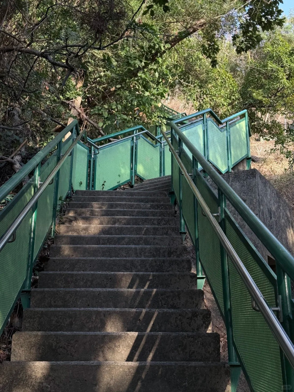 深水埗「天空之城」15分鐘極速登頂！零體能著平底鞋 輕鬆睇270度夜景