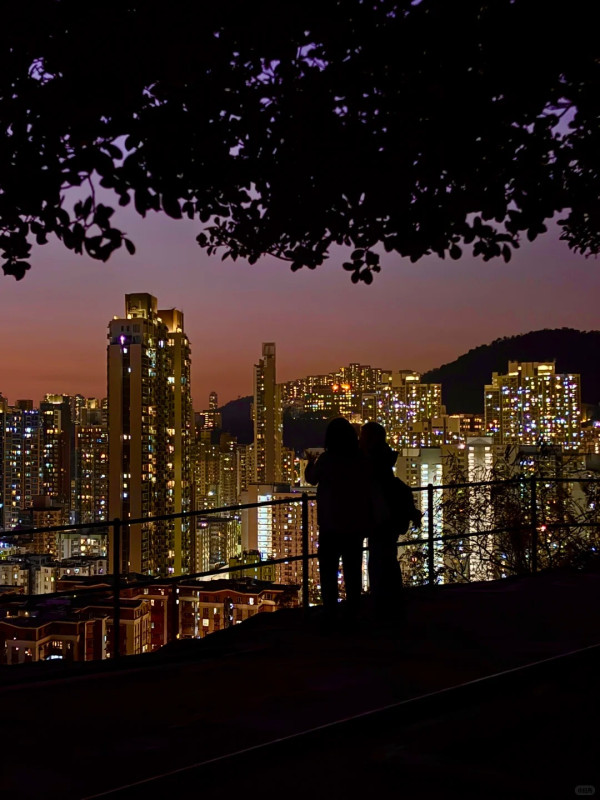 深水埗「天空之城」15分鐘極速登頂！零體能著平底鞋 輕鬆睇270度夜景