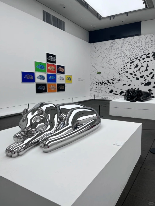 照片來源：小紅書@我太喜欢喝百事可乐了