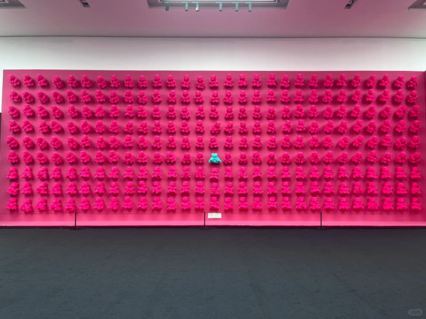 照片來源：小紅書@我太喜欢喝百事可乐了