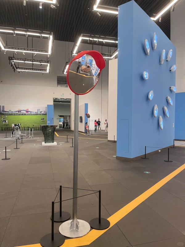 照片來源：小紅書@我太喜欢喝百事可乐了