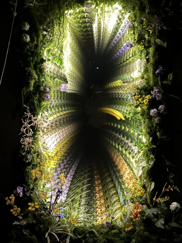 照片來源：小紅書@重重咖啡的种子