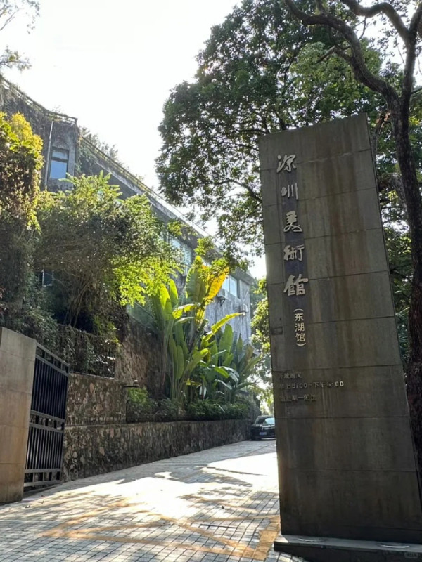 照片來源：小紅書@丹彤妈妈在深圳