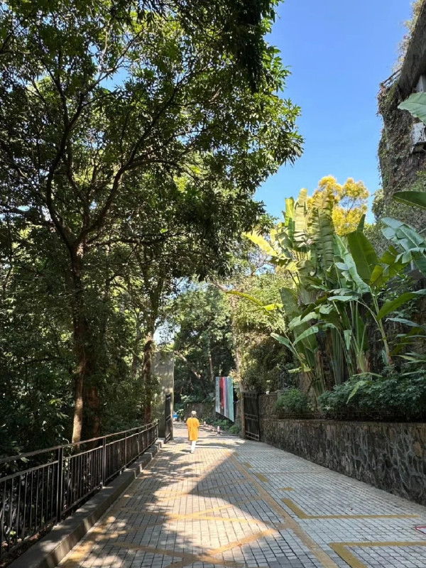 照片來源：小紅書@丹彤妈妈在深圳