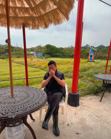 元朗信芯園太陽花3月底盛開！入場即送粉紅色香水百合！必打卡波斯菊花海！附交通方法/入場費