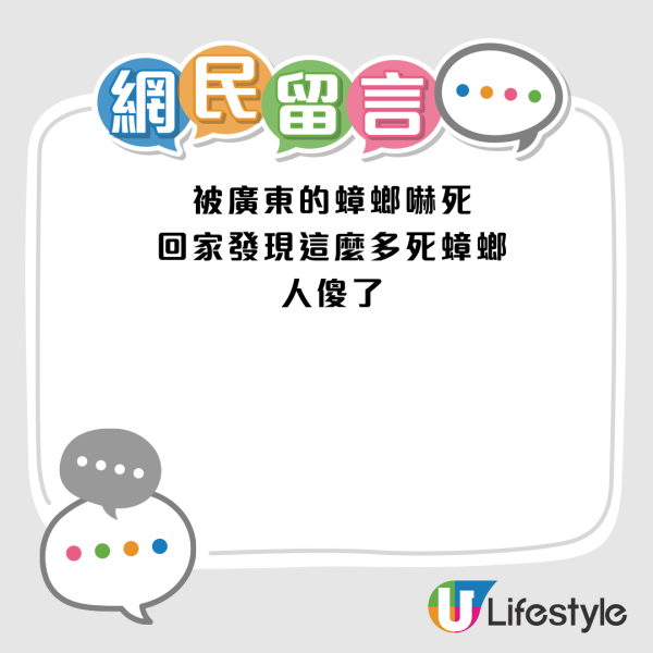 圖片來源：小紅書@猪咪大王