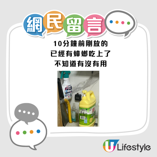 圖片來源：小紅書@Windbestaendig網民留言