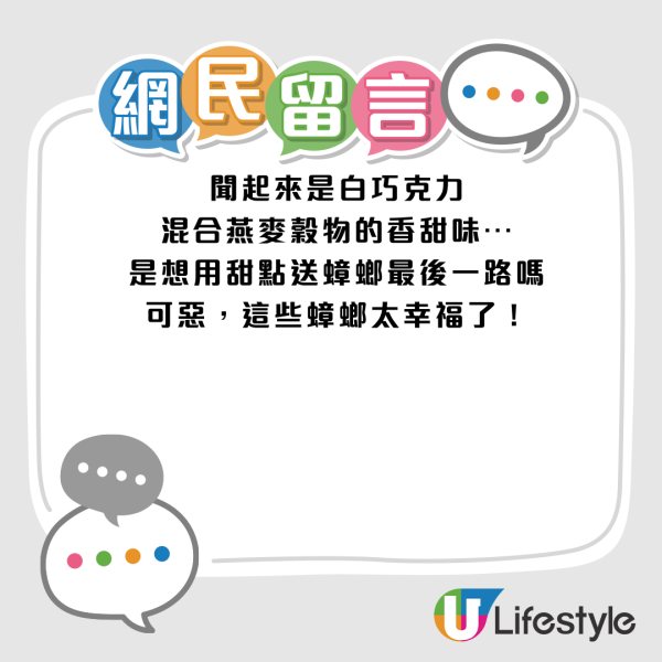 圖片來源：小紅書@Windbestaendig