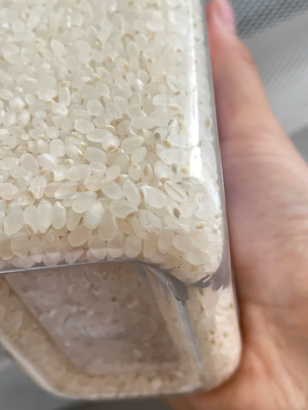 金象米官方教2招擊退蛀米大蟲！回南天$1低成本滅絕穀牛／網民揭秘：原來放XX都有用