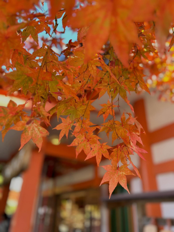 圖片來源：threads @ab93388