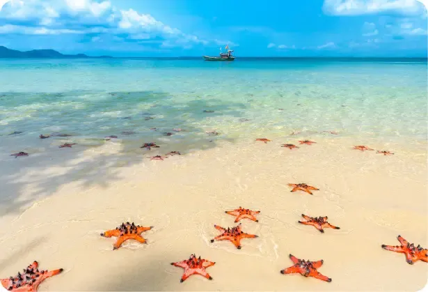 HK Express聯乘滙豐限時機票優惠！低至5折飛日台泰7大熱門航點 