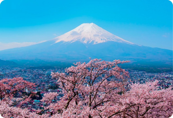 HK Express聯乘滙豐限時機票優惠！低至5折飛日台泰7大熱門航點 