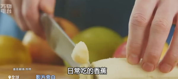 香蕉絕種︱未來無香蕉可食？「香蕉界癌症」黃葉病無藥可醫 真菌潛伏土壤長達數十年