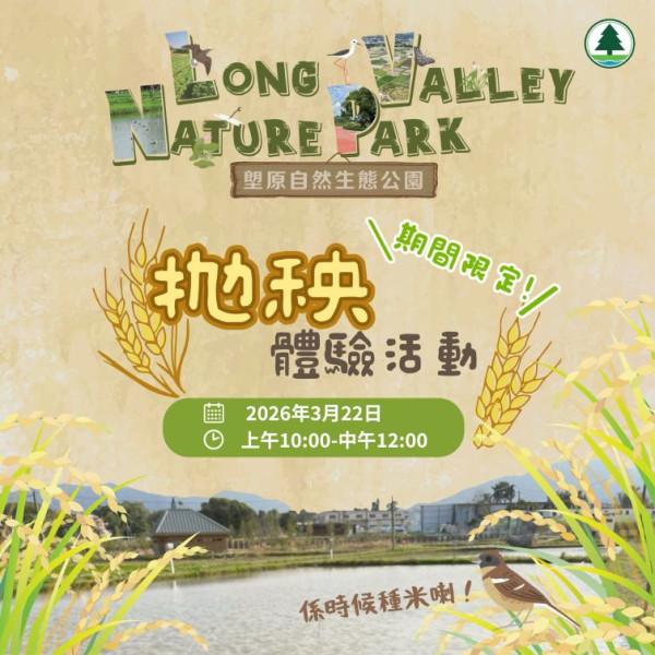 上水塱原自然生態公園免費睇波斯菊花海！必玩工作坊+拋秧體驗 附交通方法