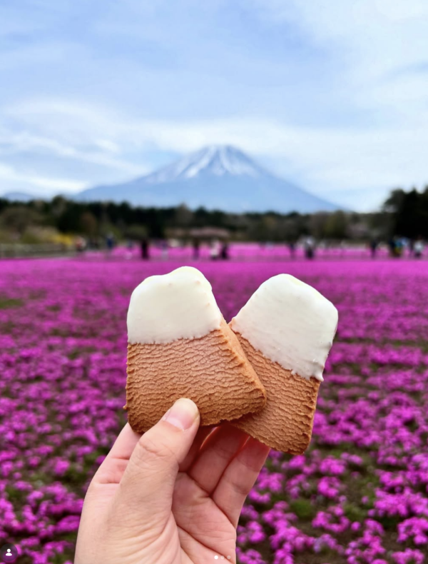 富士芝櫻祭2026｜富士山粉紅花海絕景人生必看！附最佳觀賞期、東京出發交通、門票指南 