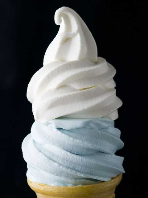 富士芝櫻祭2026｜富士山粉紅花海絕景人生必看！附最佳觀賞期、東京出發交通、門票指南 