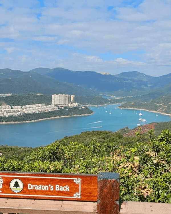 【行山好去處2026】香港8個新手行山路線推介 市區/郊野公園/港版萬里長城 親子遊必去！