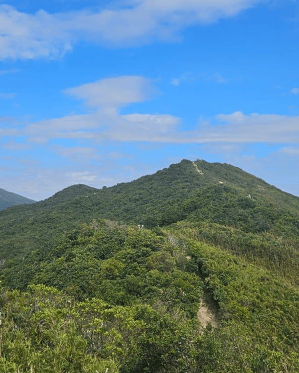 【行山好去處2026】香港8個新手行山路線推介 市區/郊野公園/港版萬里長城 親子遊必去！