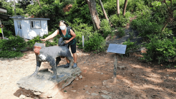 【行山好去處2026】香港8個新手行山路線推介 市區/郊野公園/港版萬里長城 親子遊必去！