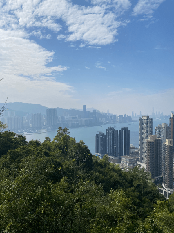 【行山好去處2026】香港8個新手行山路線推介 市區/郊野公園/港版萬里長城 親子遊必去！