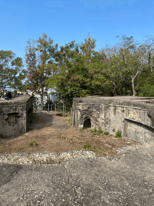 【行山好去處2026】香港8個新手行山路線推介 市區/郊野公園/港版萬里長城 親子遊必去！