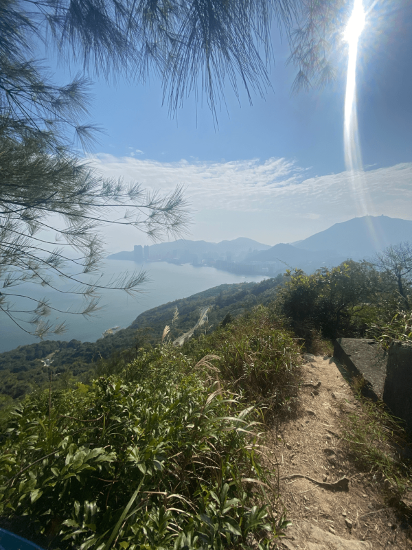 【行山好去處2026】香港8個新手行山路線推介 市區/郊野公園/港版萬里長城 親子遊必去！
