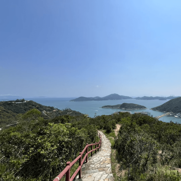 【行山好去處2026】香港8個新手行山路線推介 市區/郊野公園/港版萬里長城 親子遊必去！