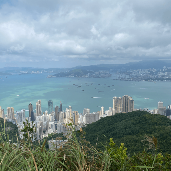 【行山好去處2026】香港8個新手行山路線推介 市區/郊野公園/港版萬里長城 親子遊必去！