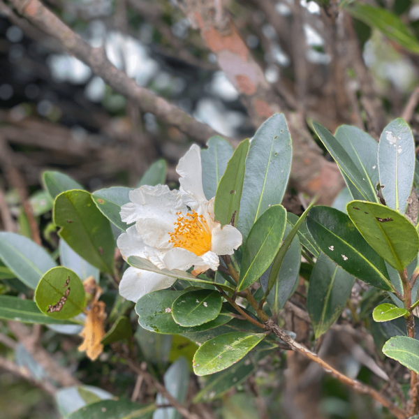 【行山好去處2026】香港8個新手行山路線推介 市區/郊野公園/港版萬里長城 親子遊必去！