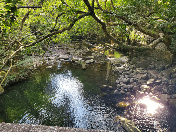 【行山好去處2026】香港8個新手行山路線推介 市區/郊野公園/港版萬里長城 親子遊必去！