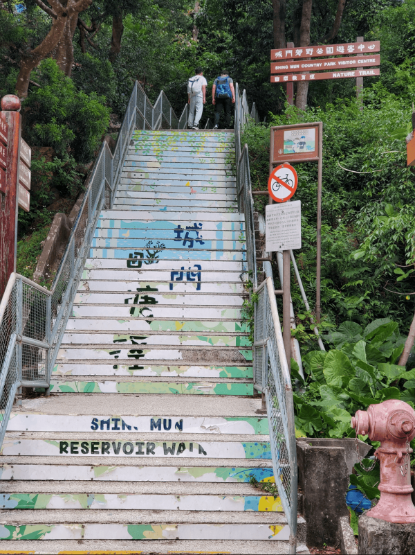 【行山好去處2026】香港8個新手行山路線推介 市區/郊野公園/港版萬里長城 親子遊必去！