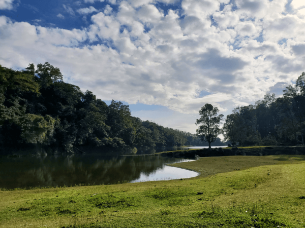 【行山好去處2026】香港8個新手行山路線推介 市區/郊野公園/港版萬里長城 親子遊必去！