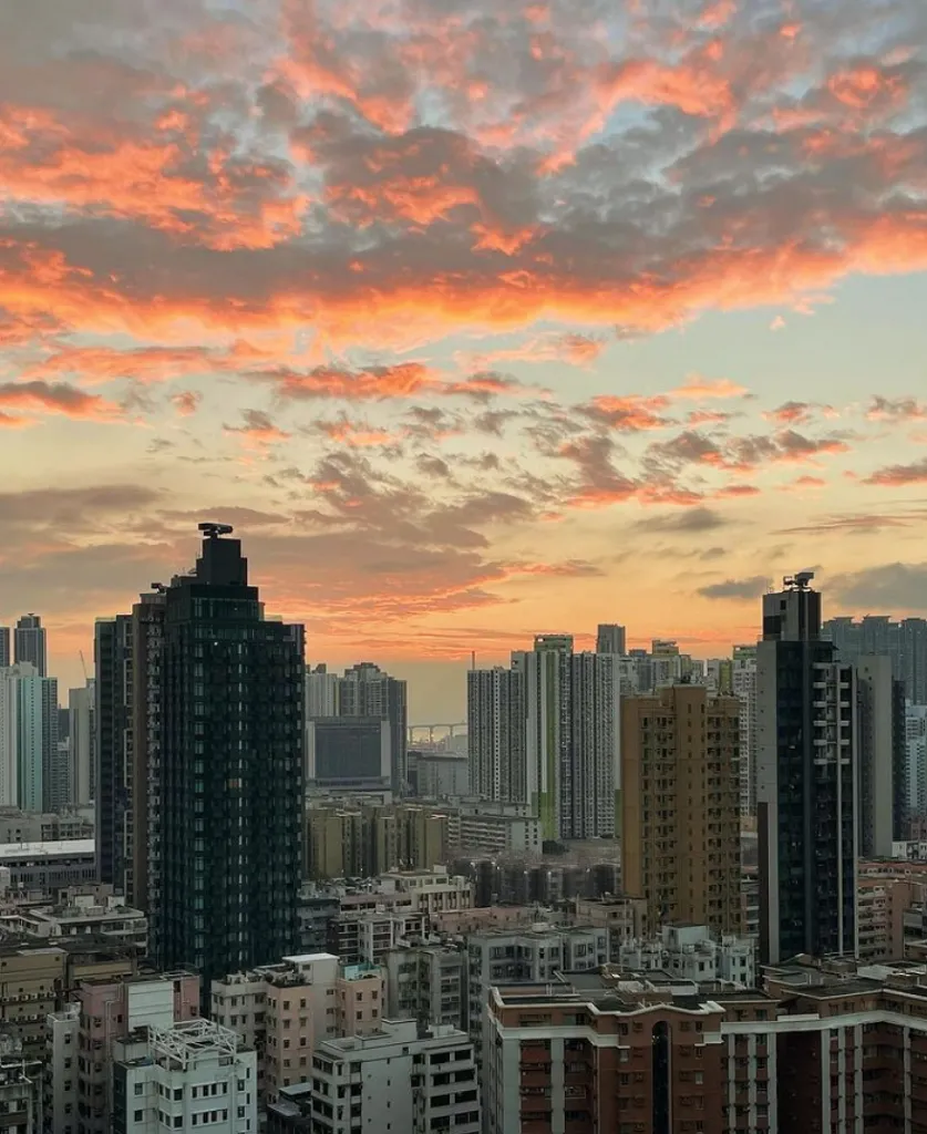 【行山好去處2026】香港8個新手行山路線推介 市區/郊野公園/港版萬里長城 親子遊必去！