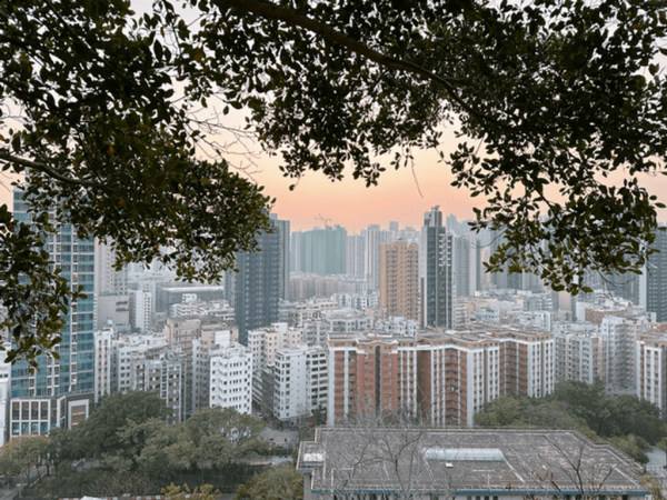 【行山好去處2026】香港8個新手行山路線推介 市區/郊野公園/港版萬里長城 親子遊必去！