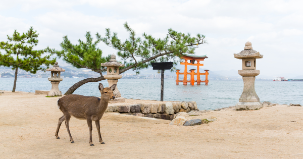 唔係仙台!網友推日本1城市景點超靚少遊客!CP值高機票酒店加埋唔使00