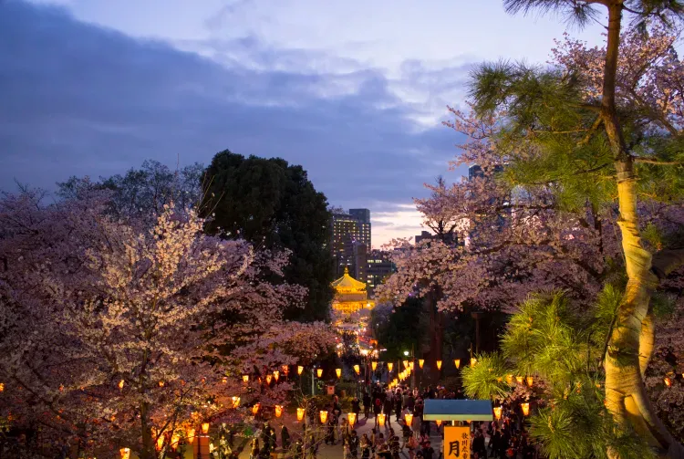 圖片：日本國家旅遊局