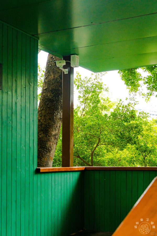 照片來源：小紅書@深圳微时光