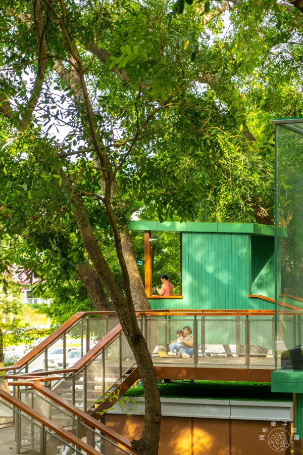 照片來源：小紅書@深圳微时光