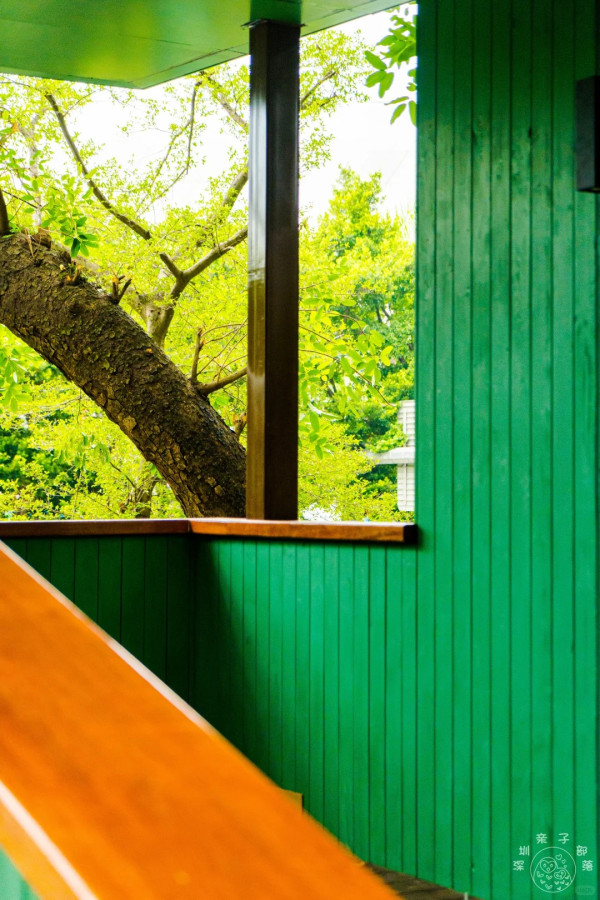 照片來源：小紅書@深圳微时光