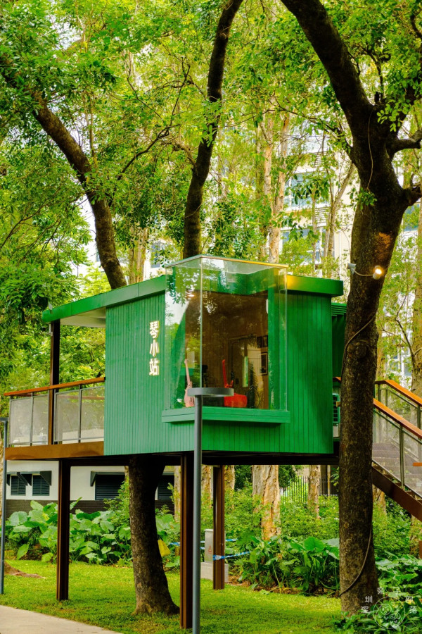 照片來源：小紅書@深圳微时光