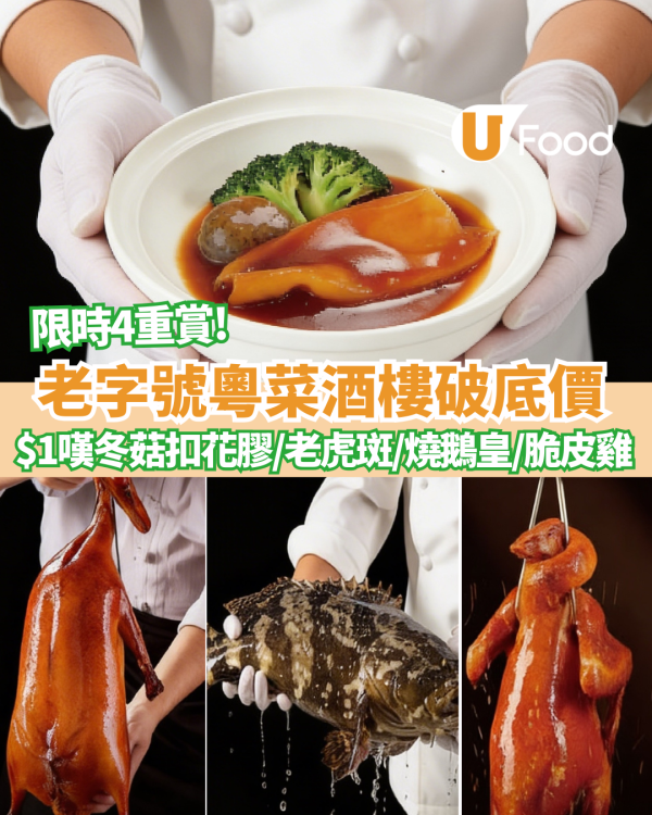酒樓優惠｜老字號粵菜酒樓破底價  1蚊嘆鮑汁冬菇扣花膠、清蒸金邊老虎斑、至尊燒鵝皇、脆皮燒雞