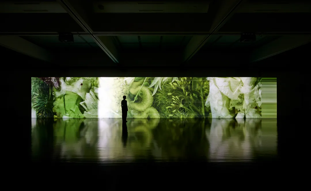 藝術三月2026︰坂本龍一「觀音．聽時」（圖片來源︰M+）