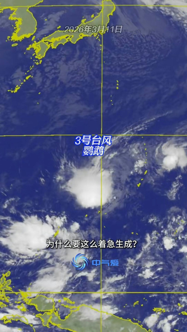 3月罕現3號颱風鸚鵡！專家預警2026成「超強颱風大年」 點名4大高危區
