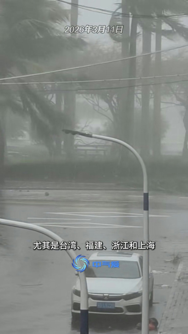 3月罕現3號颱風鸚鵡！專家預警2026成「超強颱風大年」 點名4大高危區