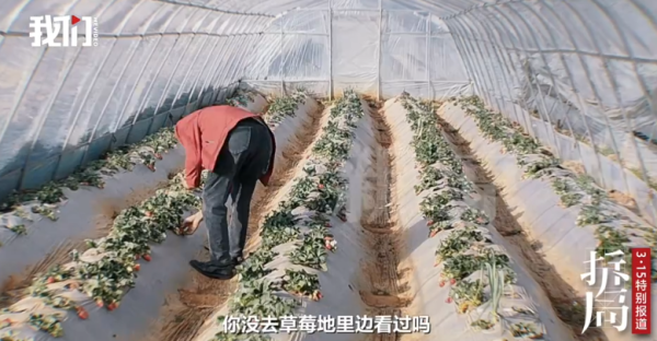 照片來源：新京報