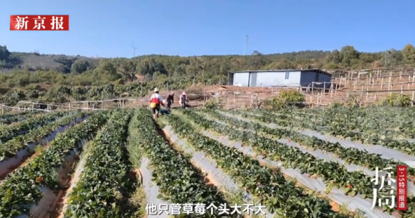 照片來源：新京報