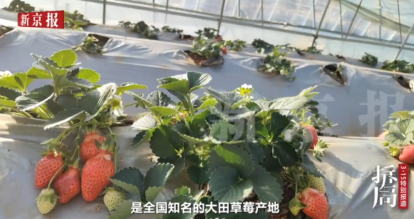 照片來源：新京報