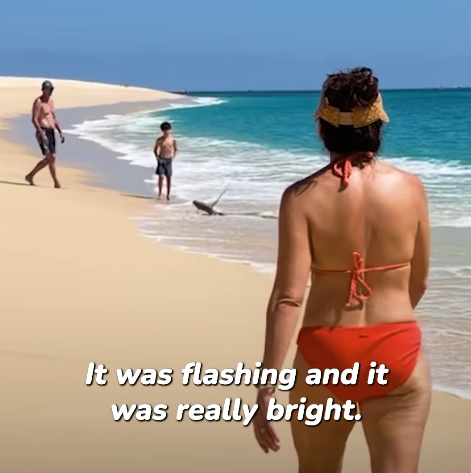 圖片來源：IG @monicaandco_